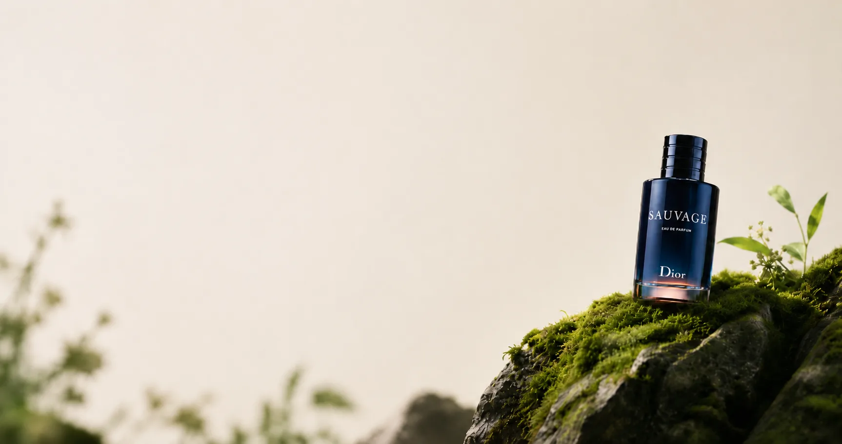 Find your signature scent